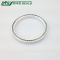 DMS excellent Performance Printemps PTFE Seals